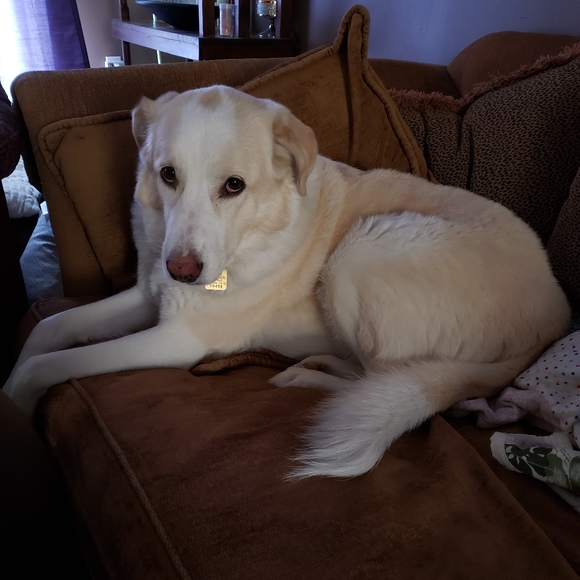 Meet your Posher! - Picture 1 of 1